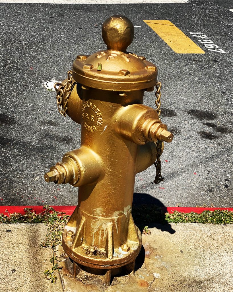 The Golden Hydrant, by Mission Dolores Park