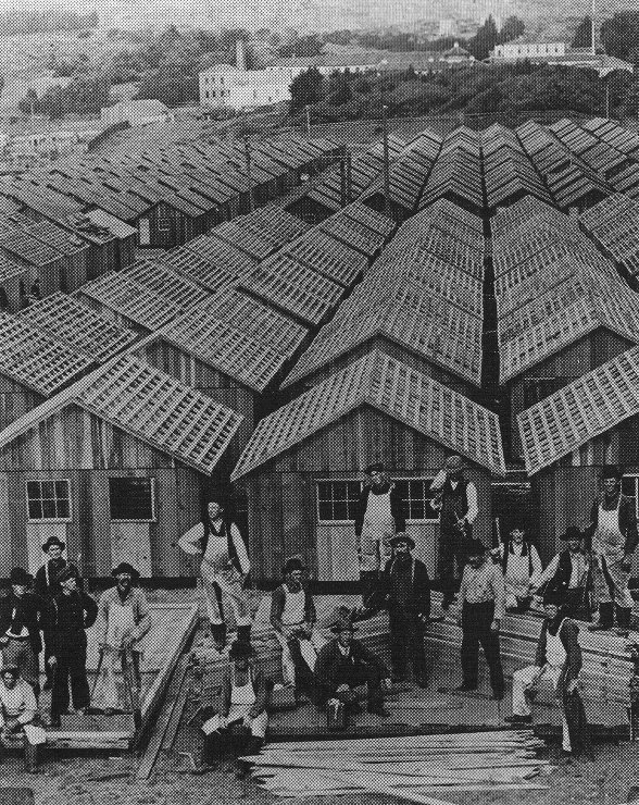 the 1906 great fire