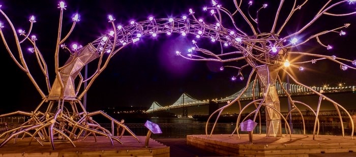 Best things to do in SF in December