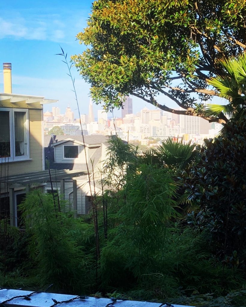 Blue Painted Lady