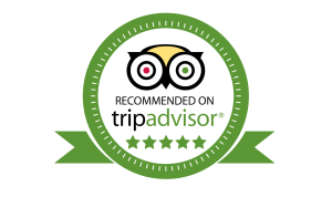 image-asset TripAdvisor recommendation