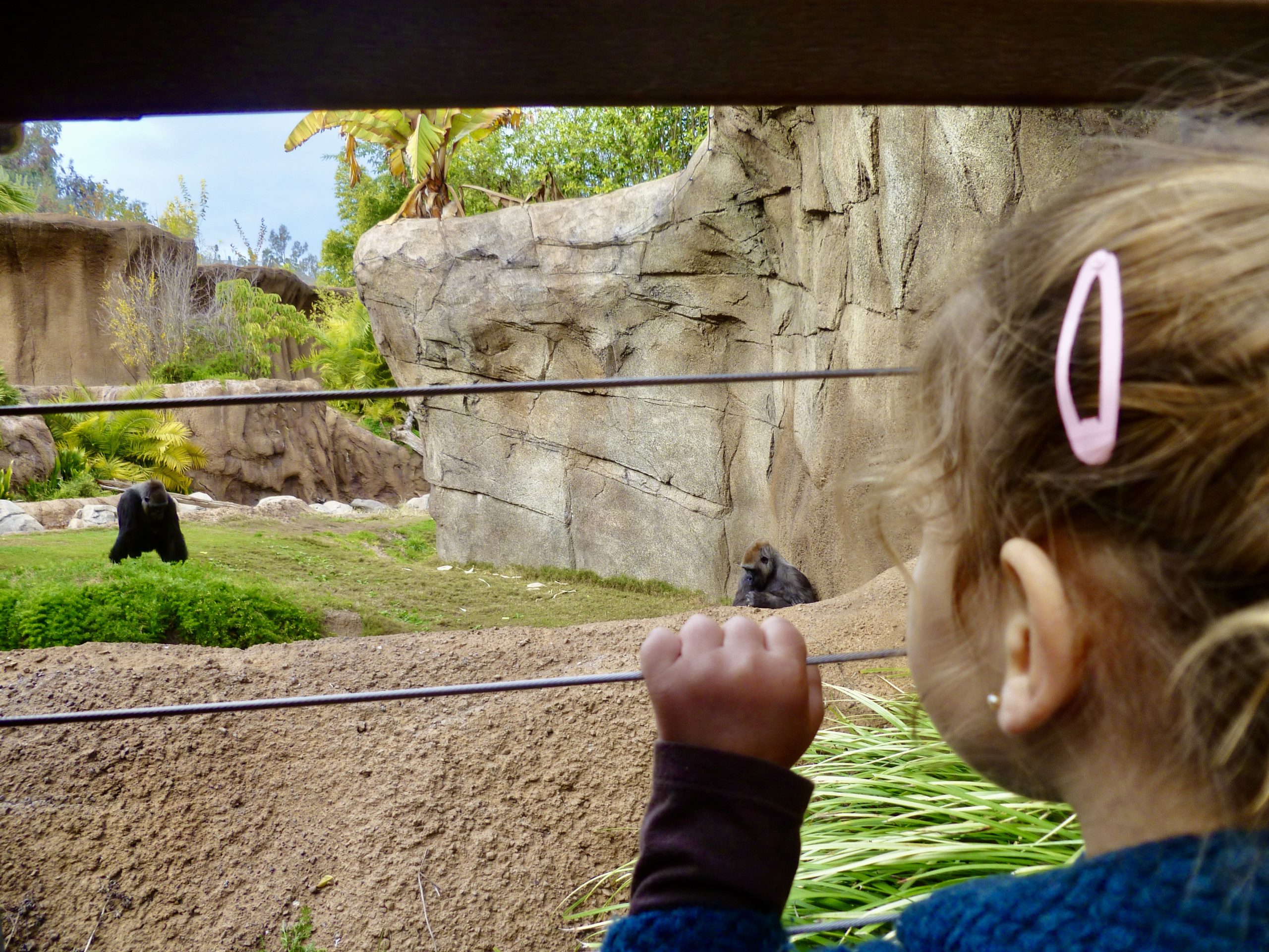 San Francisco Zoo