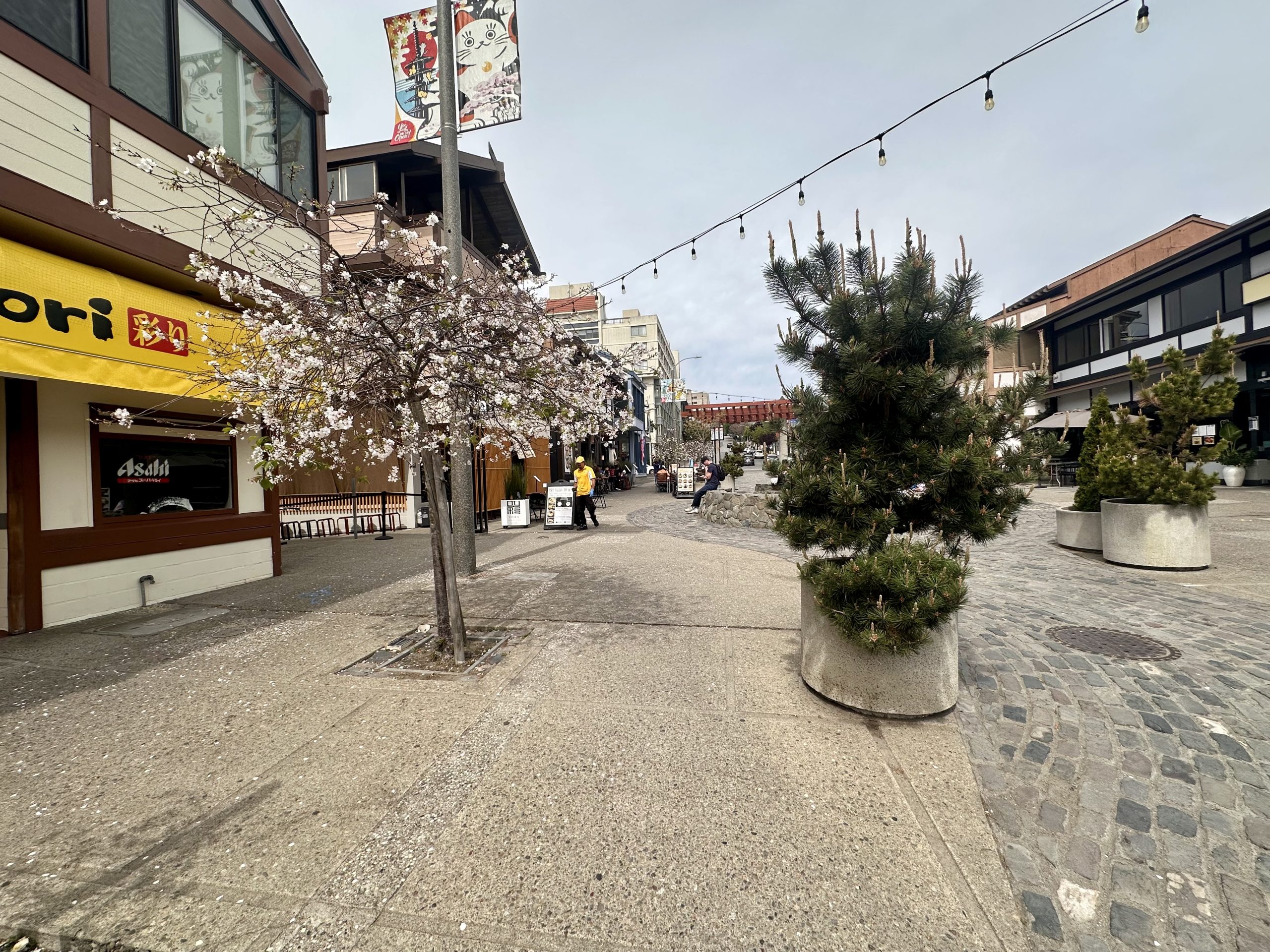 IMG_7083 Japantown